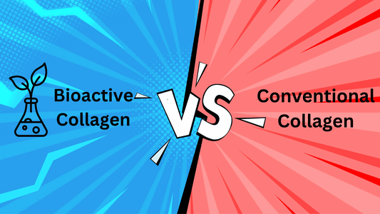 Illustration depicting the differences between bioactive collagen and conventional collagen, focusing on their clinically effectiveness for joint health and osteoarthritis.